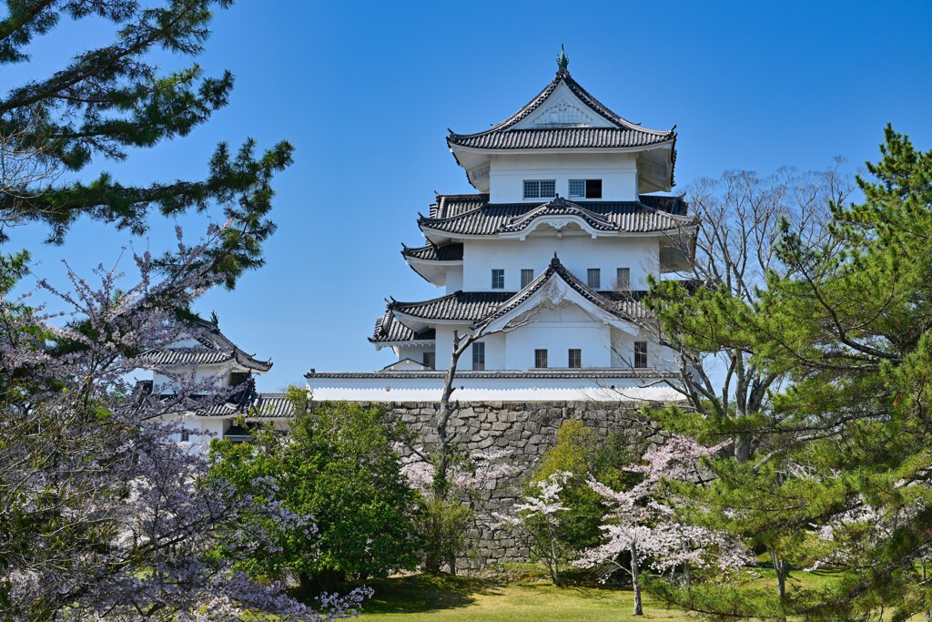 白鳳城　伊賀上野城跡　日本100名城