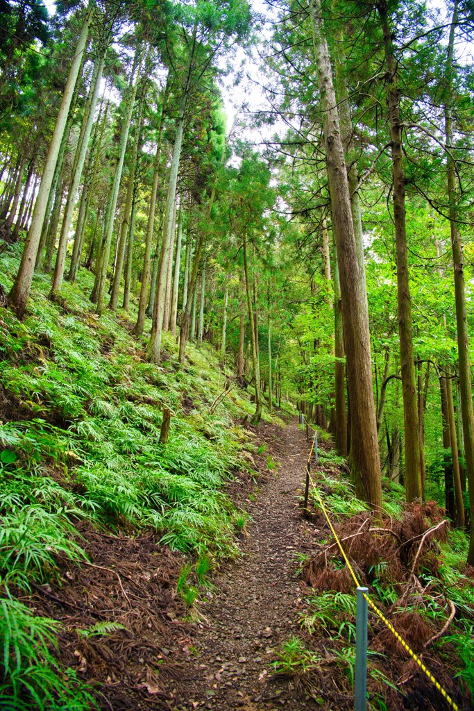 急斜面　鎌刃城跡