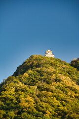 岐阜城　