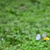 『こんにちは』