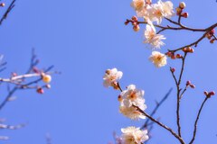 温かい日
