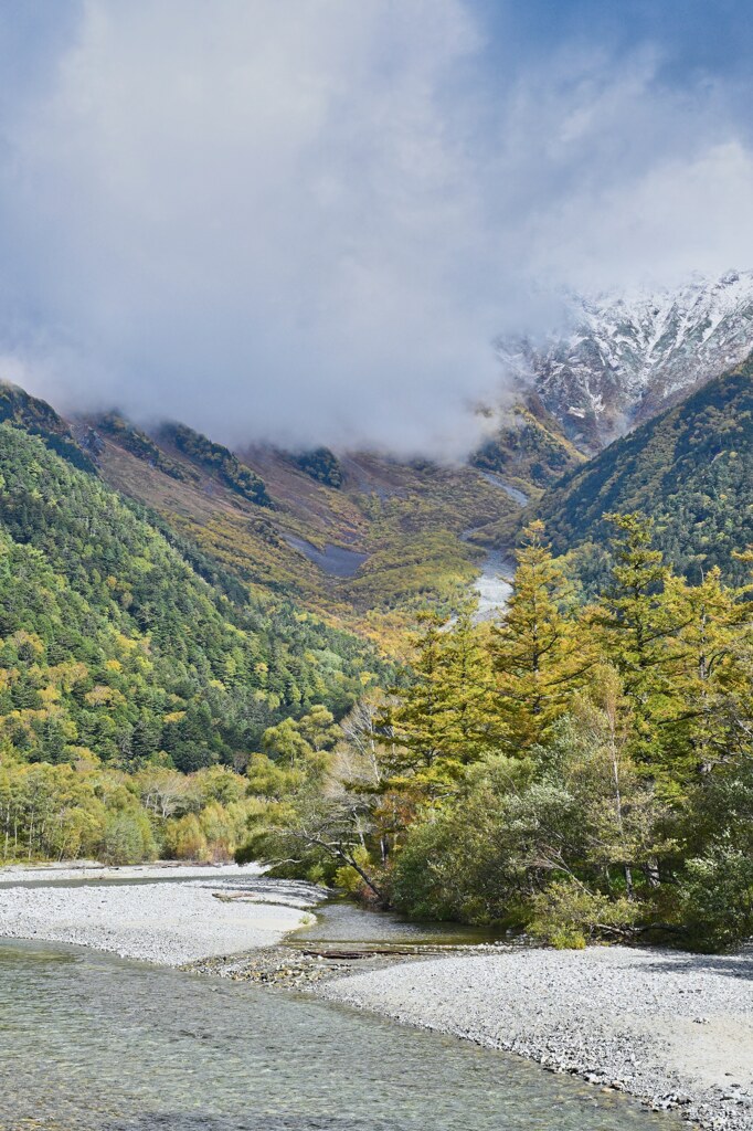 色付きは……。