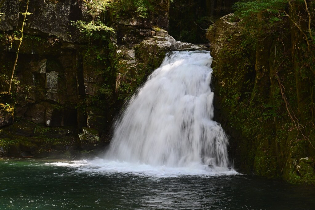 千手滝 赤目四十八滝 by チ ャ ビ ィ （ID：12394131） - 写真