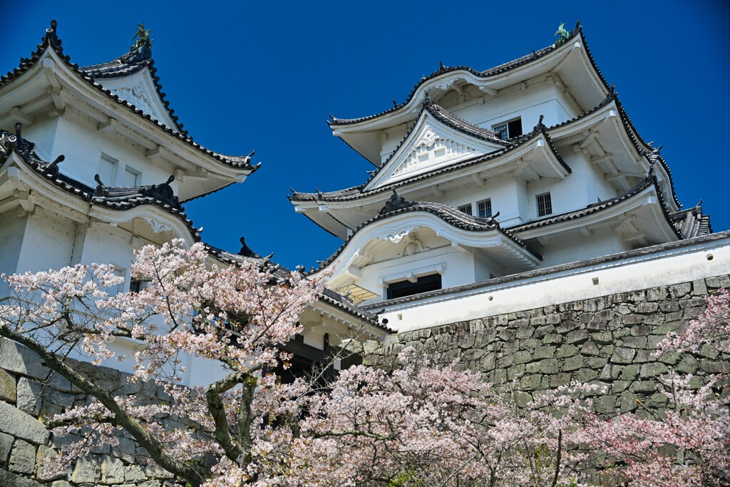 大天守閣と小天守閣　伊賀上野城跡