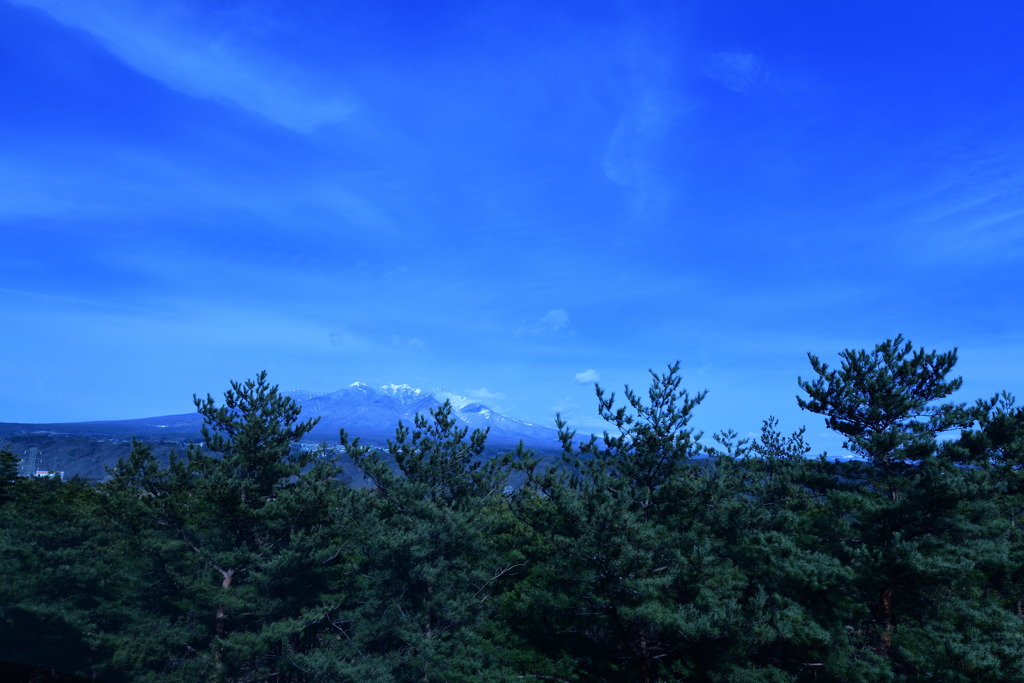 skyblue