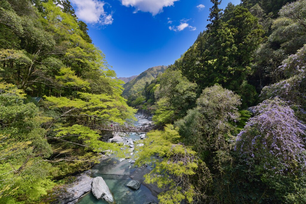  祖谷のかずら橋