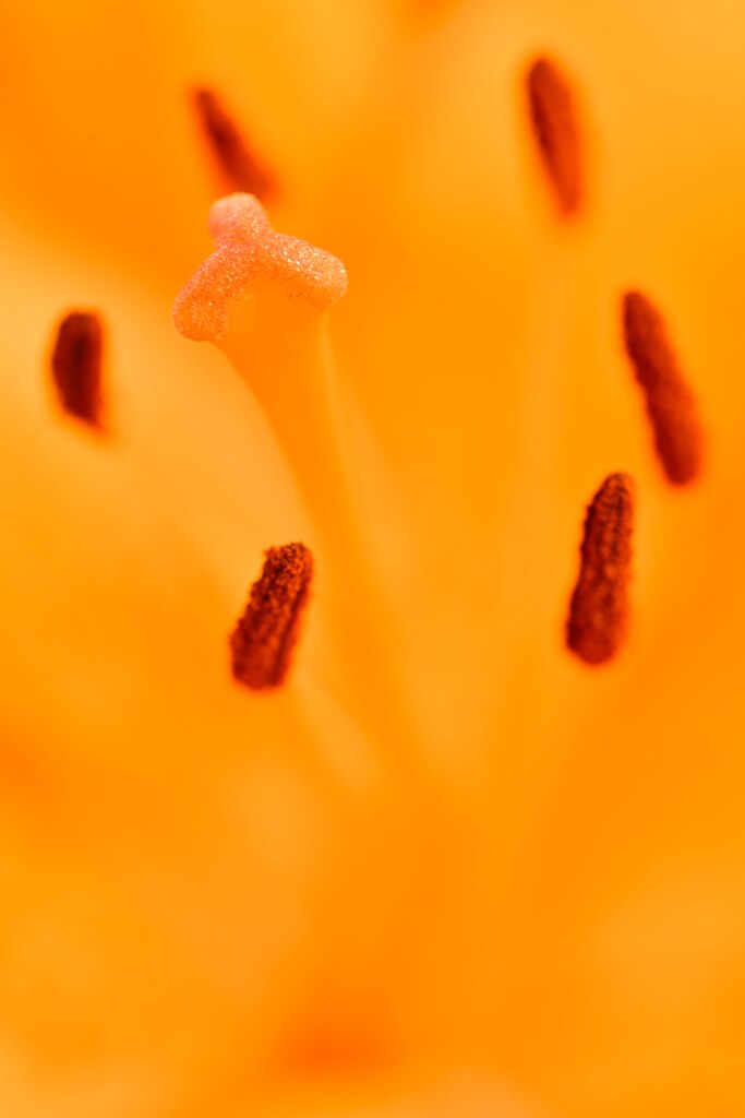 溶け合う