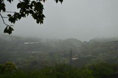 山間の雨