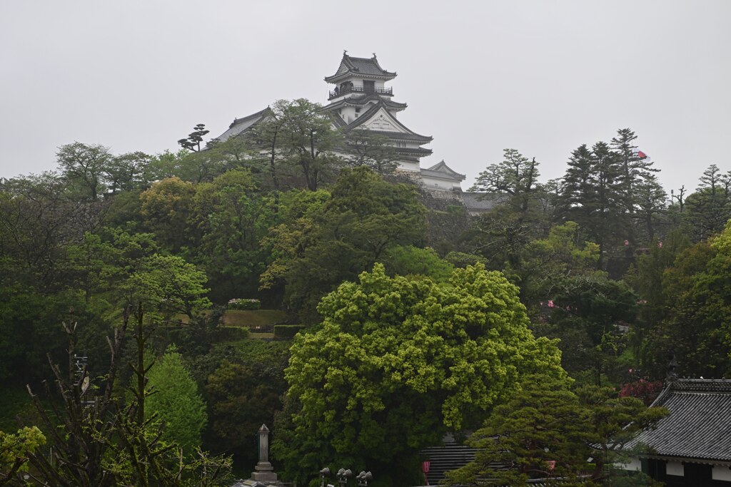 日本100名城　No.57　高知城　