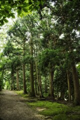 久保田城　千秋公園