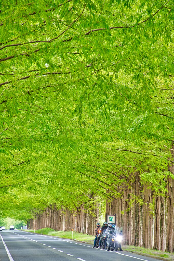 ツーリング最高！