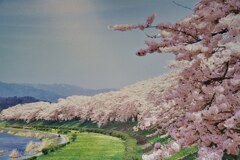この時期に行きたい