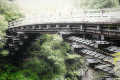  猿橋　日本三奇橋