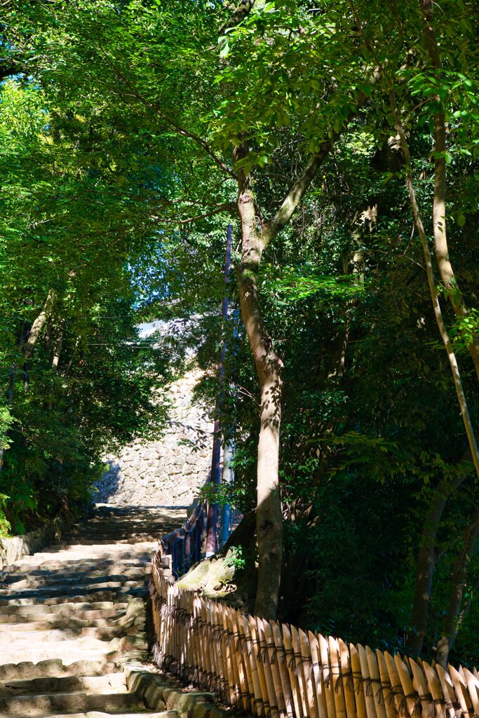 石垣と石段　彦根城