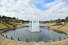 ひたち海浜公園