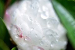 水滴