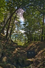 向羽黒山城跡　堀切