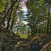 向羽黒山城跡　堀切