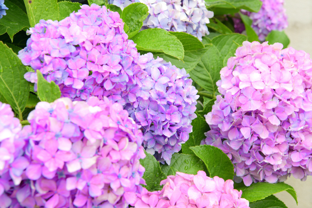 もうすぐ終わり