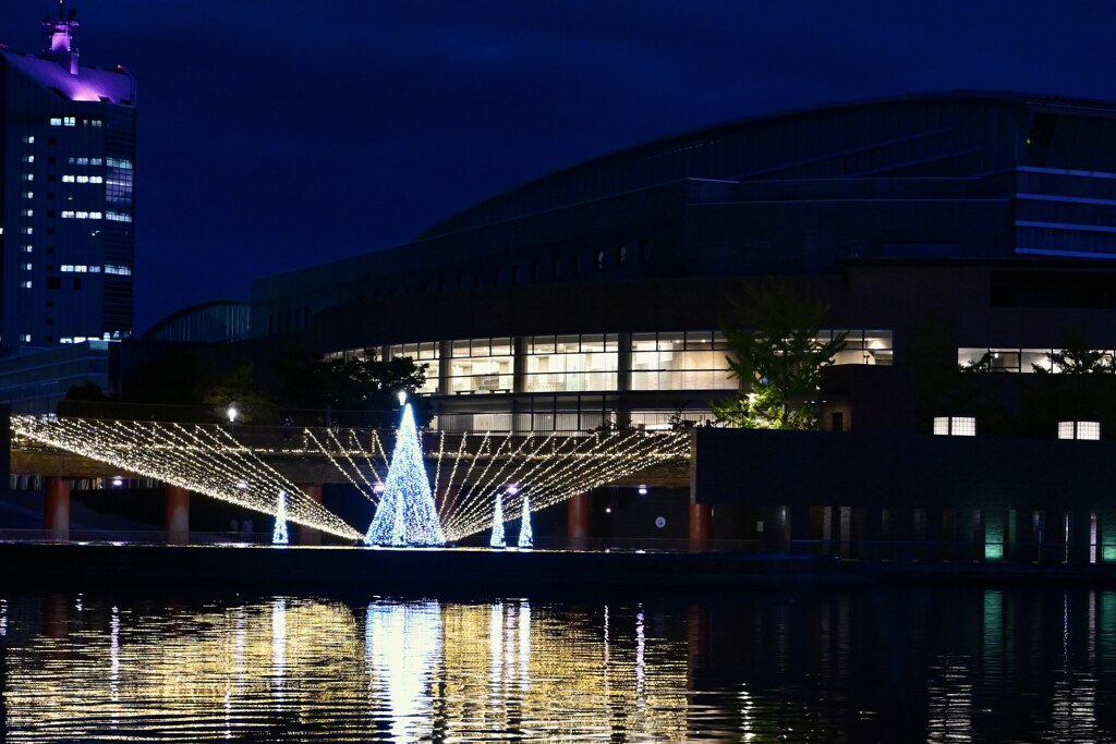 リフレクション　富岩運河環水公園