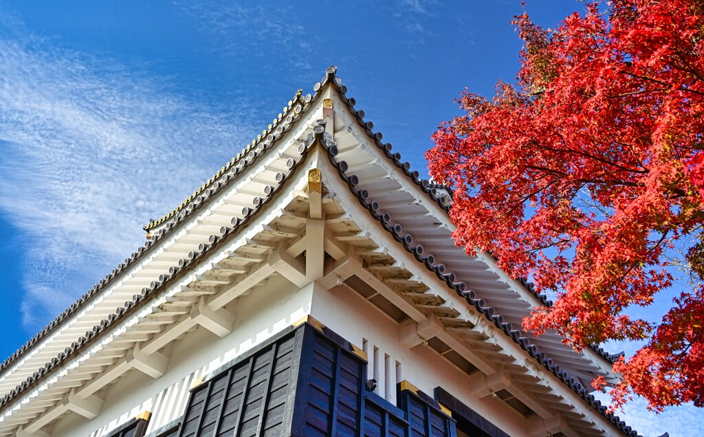 岐阜城と紅葉