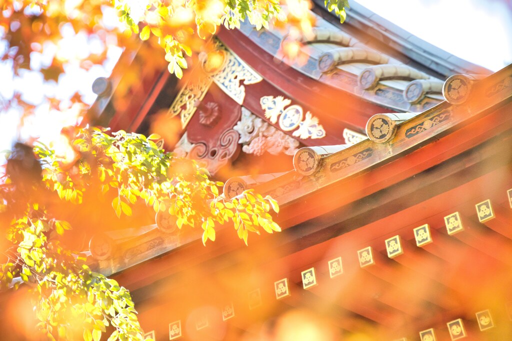 薬王院と紅葉