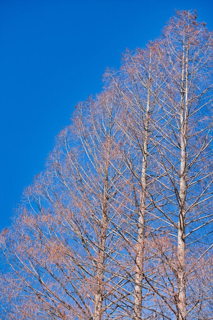 空へ