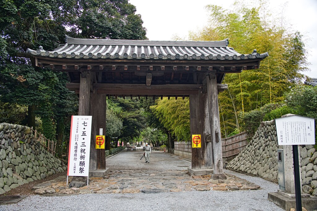 鑁阿寺　東門　日本100名城