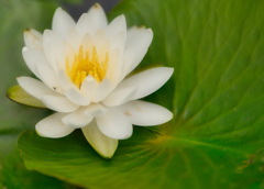 終焉