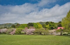 松前城　松前公園☆