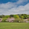 松前城　松前公園☆