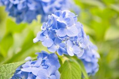 ハイキーっぽい