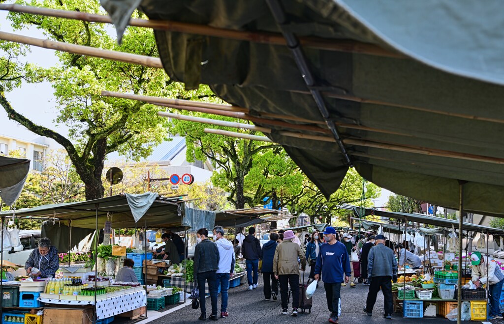 大盛況！　高知朝市