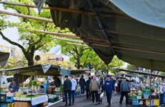 大盛況！　高知朝市