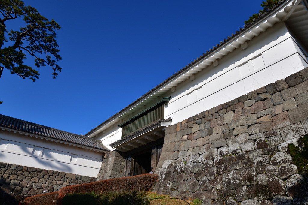 日本100名城　常盤木門　小田原城☆