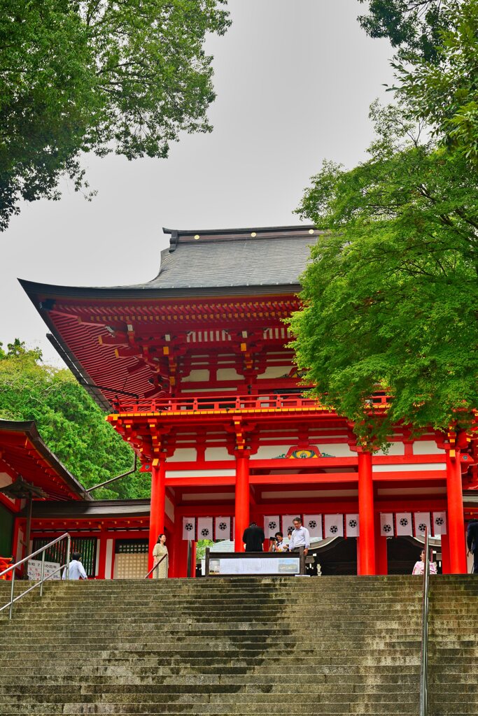 『ちはやふる』