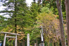 春日山神社 