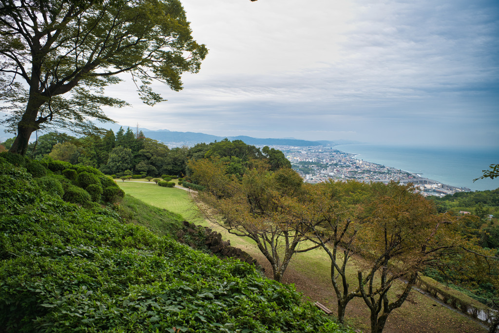 相模湾を望む