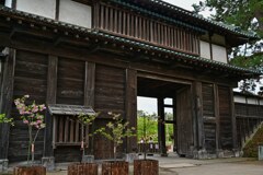 弘前城　北門(亀甲門)