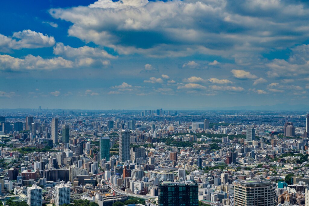 東京タワーから