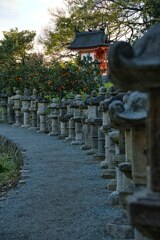 小路を抜けて　江之浦測候所