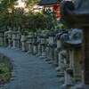 小路を抜けて　江之浦測候所