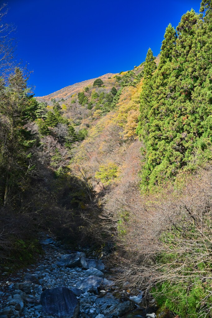 快晴の渓谷☆