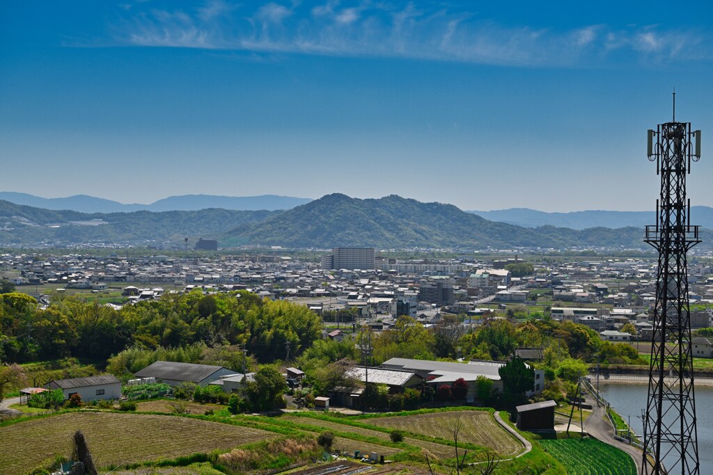 長閑な景色