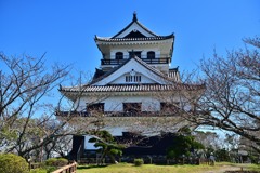 桜には早く