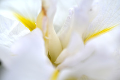 奥