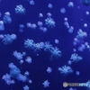长隆海洋王国