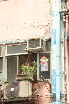 Hong kong