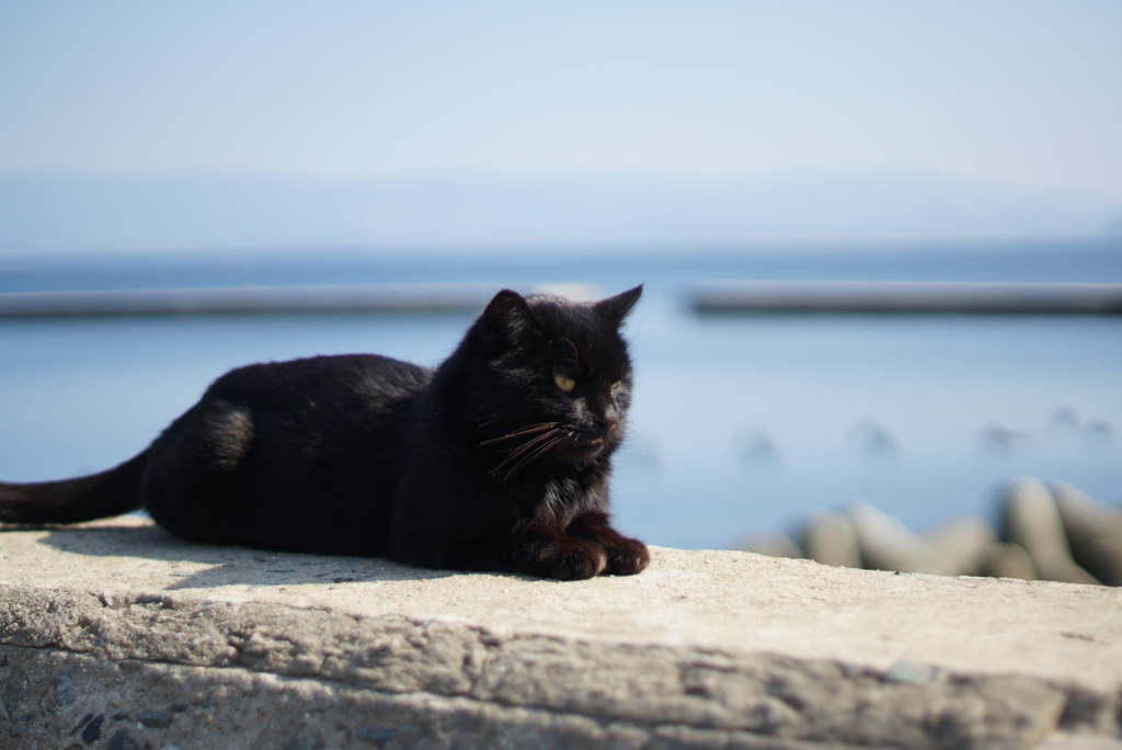 相島の黒いスフィンクス