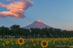 赤富士と吊るし雲